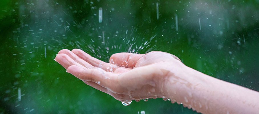 7 Basic Monsoon health tips and Precautions to Stay Healthy During